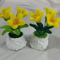 گل‌های قشنگ مخملی