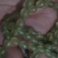 حراجی|کلکسیون سکه، تمبر، اسکناس|مشهد, رده|دیوار