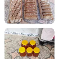 عسل ارگانیک پالنگان