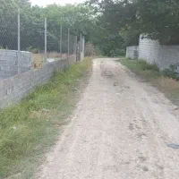زمین و باغ