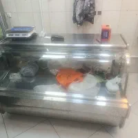 دوتا ویترین ،یک عدد یخچال و یه ویترین زیر ترازو