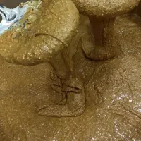 معجون رفع بلغم وسردی بدن تقویت قوای بدنی