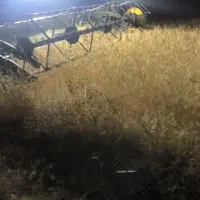 کاه دیم کاه کوب درجه یک