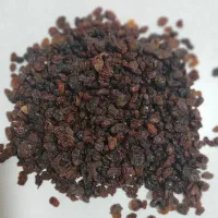 کشمش آفتابی در بلوار خرمشهر