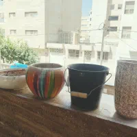 گلدان گل طبیعی