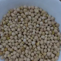 نخود ریز امسال برداشت زودپز درجه یک تازه تازه