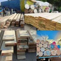 اجاره تخته بنایی و بشکه فرغون
