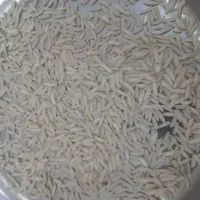 برنج طارم هاشمی بوجاری شده صفر