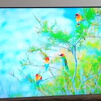 ال ای دی ۵۰اینچ