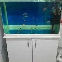 آکواریوم ۱۵۰ لیتری