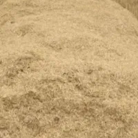 کاه باگاس  سراسر ایران به شرط تضمین کیفیت