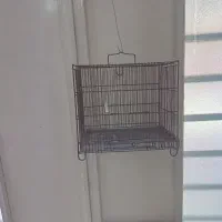 قفس غلامی سهره