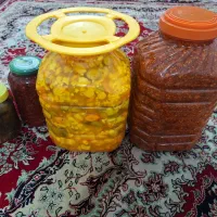 انواع ترشی