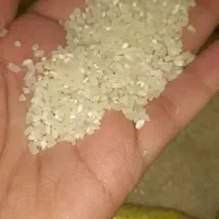 برنج نیمدانه  خوزستان عنبربوایرانی