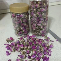 گل محمدی