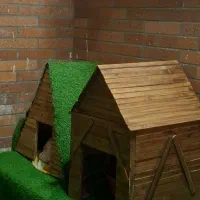 لونه گربه هرم شکل