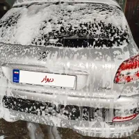 ۲۰۶ نقره ای مدل ۸۴