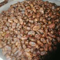 خرما|خوردنی و آشامیدنی|اهواز, پردیس دو|دیوار