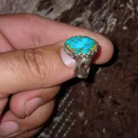 فیروزه‌رگه‌طلایی