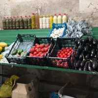 فروش لوازم میوه فروشی