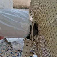 پنکه|پنکه و تصفیهکنندهٔ هوا|صومعهسرا, |دیوار