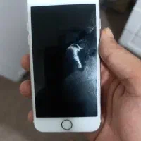 ایفون ۷|موبایل|مشهد, عامل|دیوار