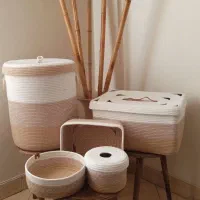 ست نظم دهنده