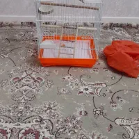 قفس پرنده نو