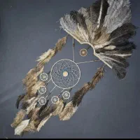 انواع دریم کچر