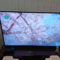 تلویزیون ۵۵اینچ