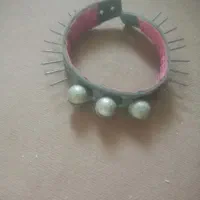 قلاده  سگ