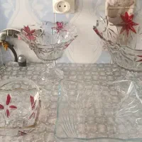 ظروف پذیرایی شیک سالم