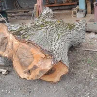 اسلب چوب گردو سیاه  الوار توسکا و راش درجه یک ق