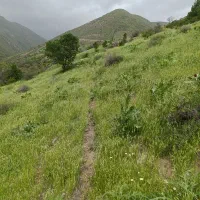 شریک و سرمایه گذار در تور تشریفاتی و دهکده گردشگری