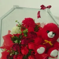 دو تاگل وعروسک برای نوزاد تازه ونو