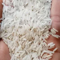 برنج فجر|خوردنی و آشامیدنی|سنگدوین, |دیوار