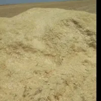 کاه گندم درجه ۱