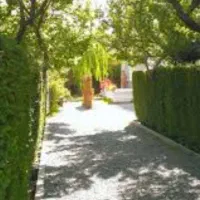 فروش-باغ-شش-هزارمتری-زردنجان