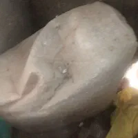 توالت فرنگی