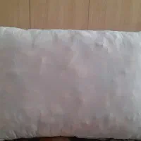 بالش