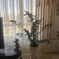 پرده مکرومه باف