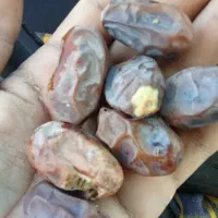 لر پون خرما  زوران  کیمت   بالاتناژ بالا۲۱ هزار