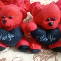 عروسک ولنتاین رسید