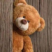 خرس دومتری عمده ولنتاین زیر قیمت کل ایران