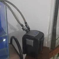 اکواریوم|ماهی|بجنورد, |دیوار