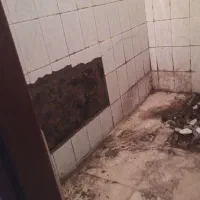 کاشی کار،کاشی کاری،کاشیکار،کاشیکاری،ساختمان  بنا