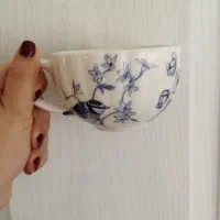 ظروف سرامیکی