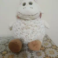 گوسفند پشمی