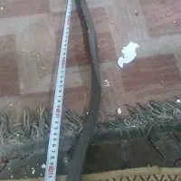 نوار در بخچال دوقلو نو اکبند