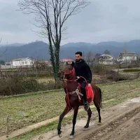 فروش‌نریان‌ ‌کرد ۵ سال‌جوان
